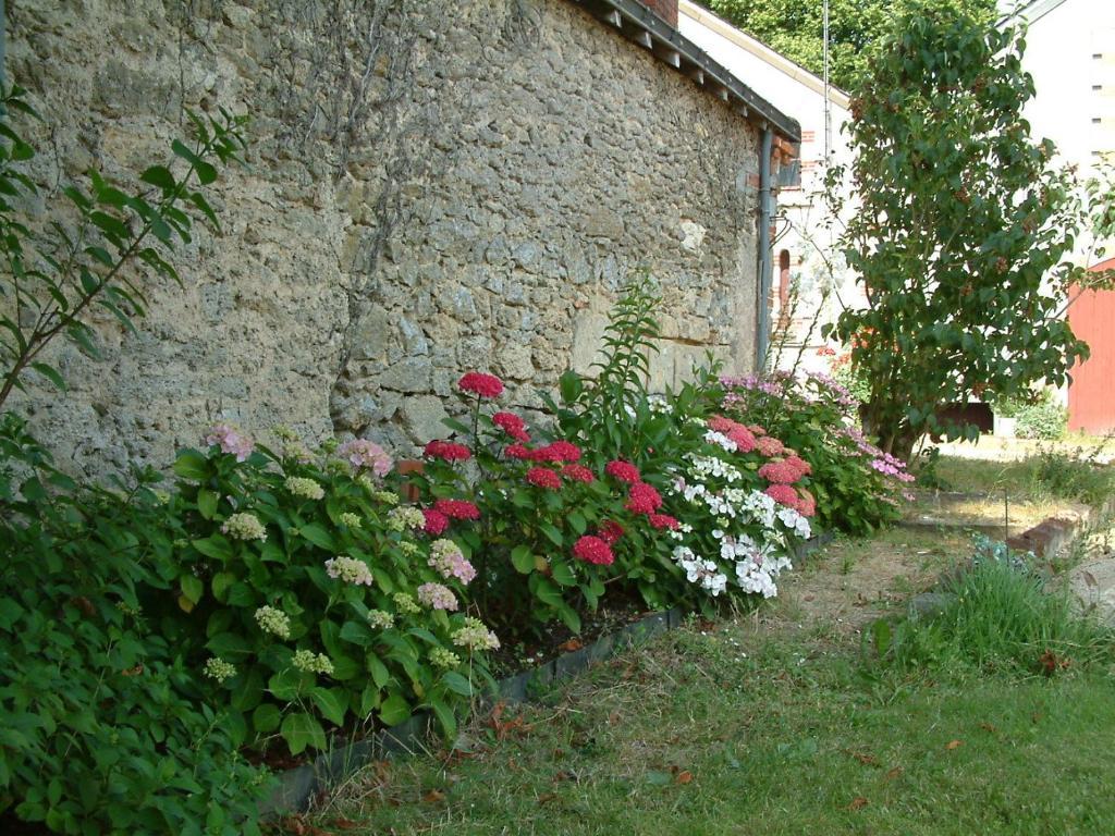 مبيت وإفطار Tigné Chateau Du Beugnon المظهر الخارجي الصورة